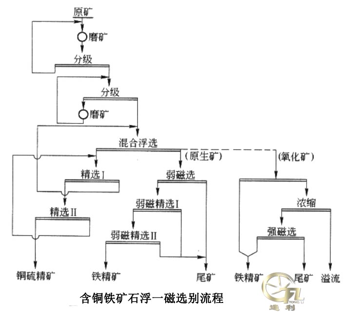 含铜铁矿石浮一磁选别流程