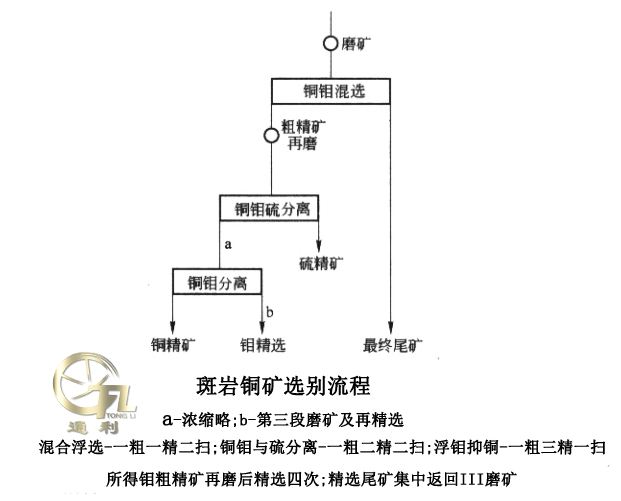 斑岩铜矿选别流程