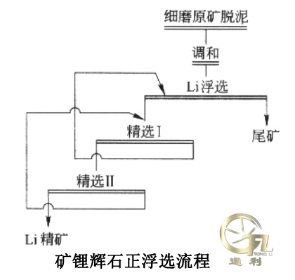 锂辉石浮选流程