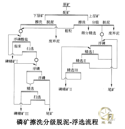 磷矿擦洗分级脱泥一浮选流程