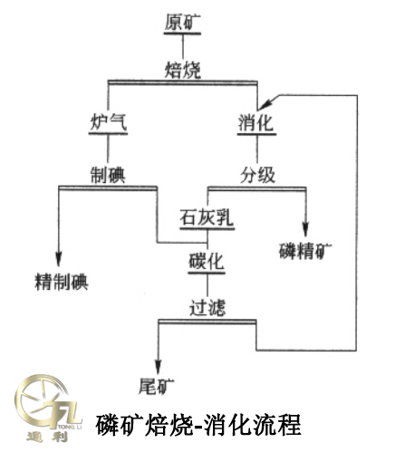 磷矿焙烧-消化流程