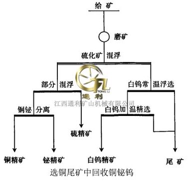 选铜尾矿中回收铜铋钨1_web