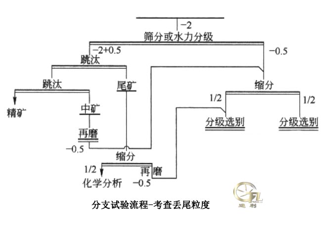 分支试验流程考查丢尾粒度