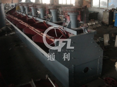 sf Flotation Machine Manufacture Case