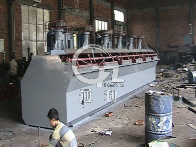 SF Flotation Machine Manufacture Case