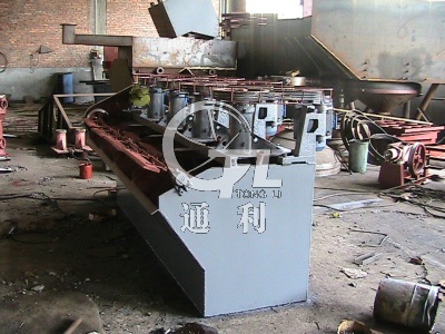 SF Flotation Machine Manufacture Case